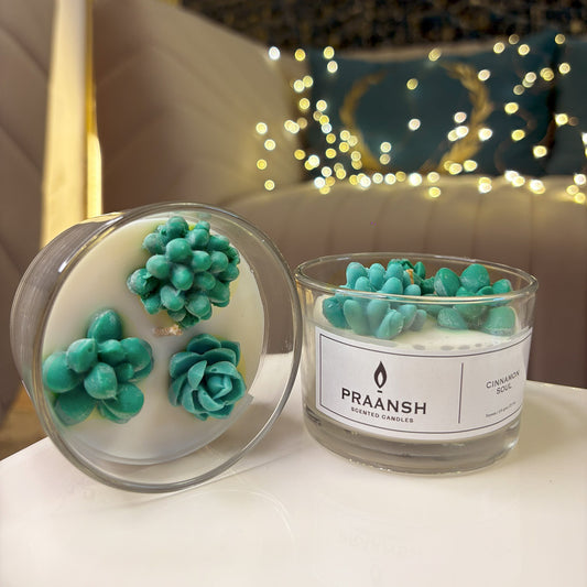 Cinnamon Soul - Bloom Jar Succulent Candle with Cinnamon Feragrance