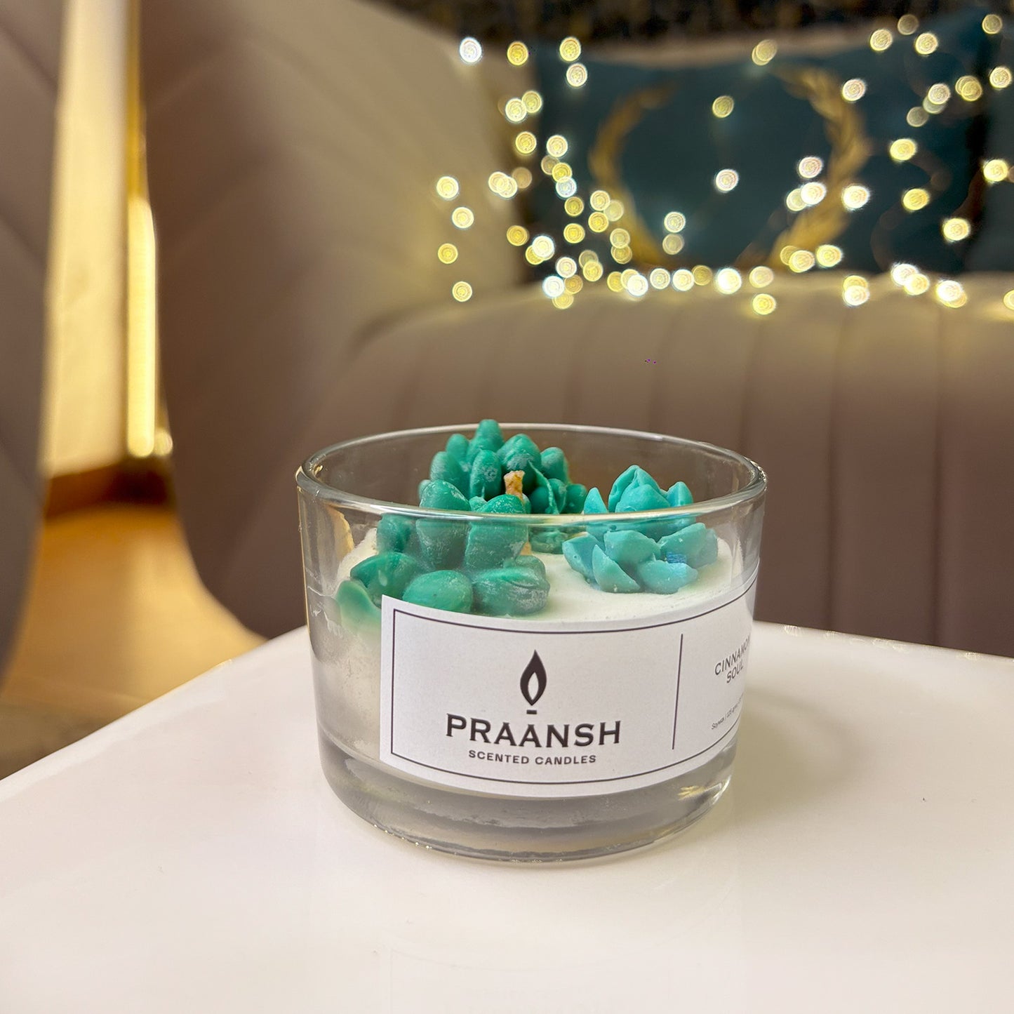 Cinnamon Soul - Bloom Jar Succulent Candle with Cinnamon Feragrance